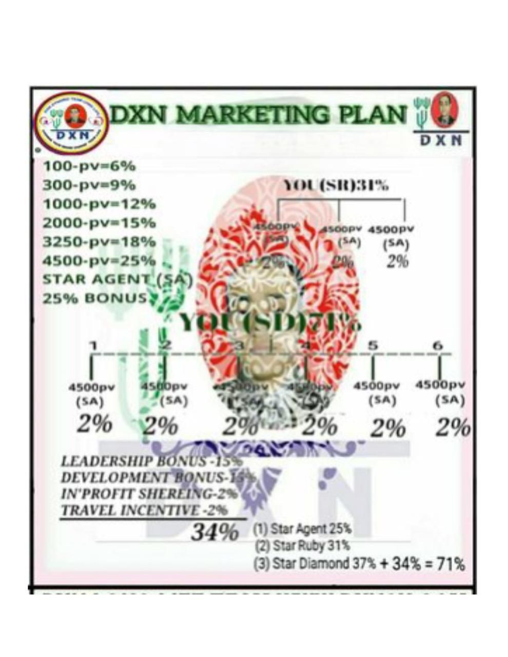 DXN marketing plan infographic detailing percentage bonuses and incentives based on point values.